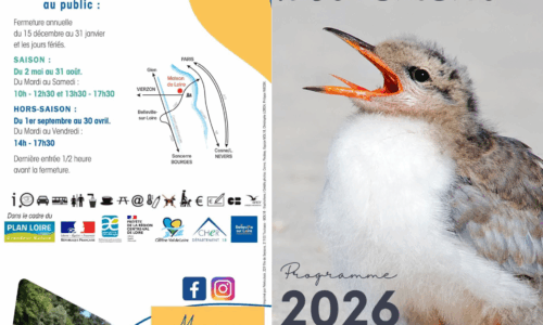 PROGRAMME 2026 MDL 18