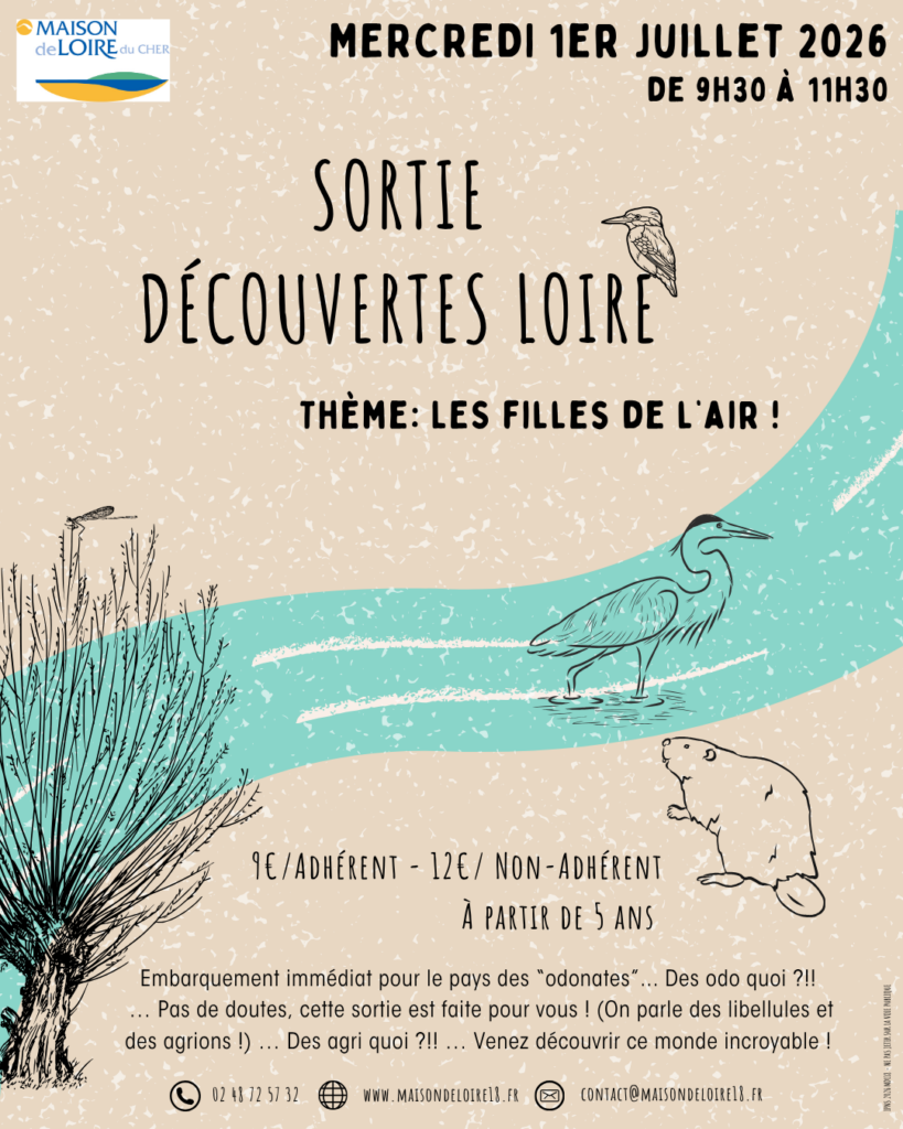 Sortie découverte Loire « Les p&rsquo;tites bêtes ! »