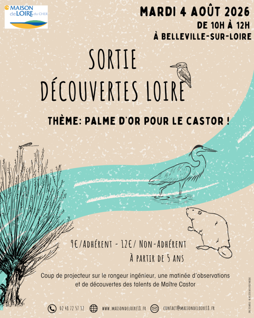 Sortie « Découverte Loire » – Thème : « Palme d&rsquo;or pour le Castor »