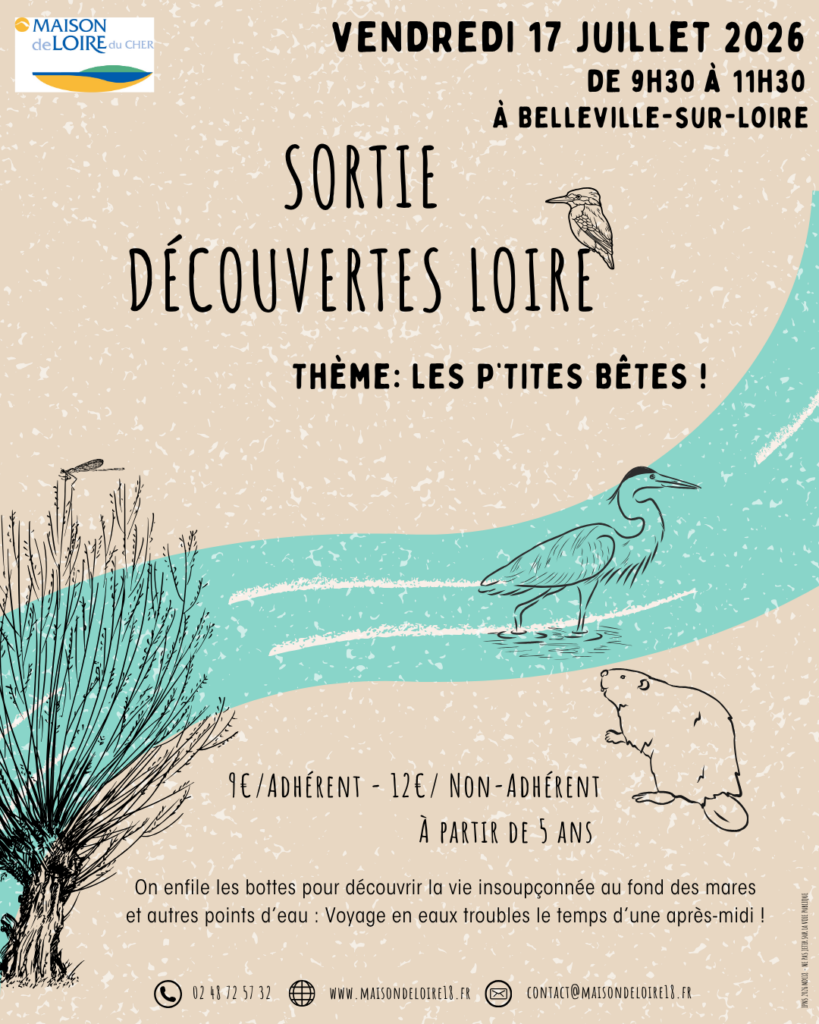 Sortie découverte Loire « Les p&rsquo;tites bêtes ! »