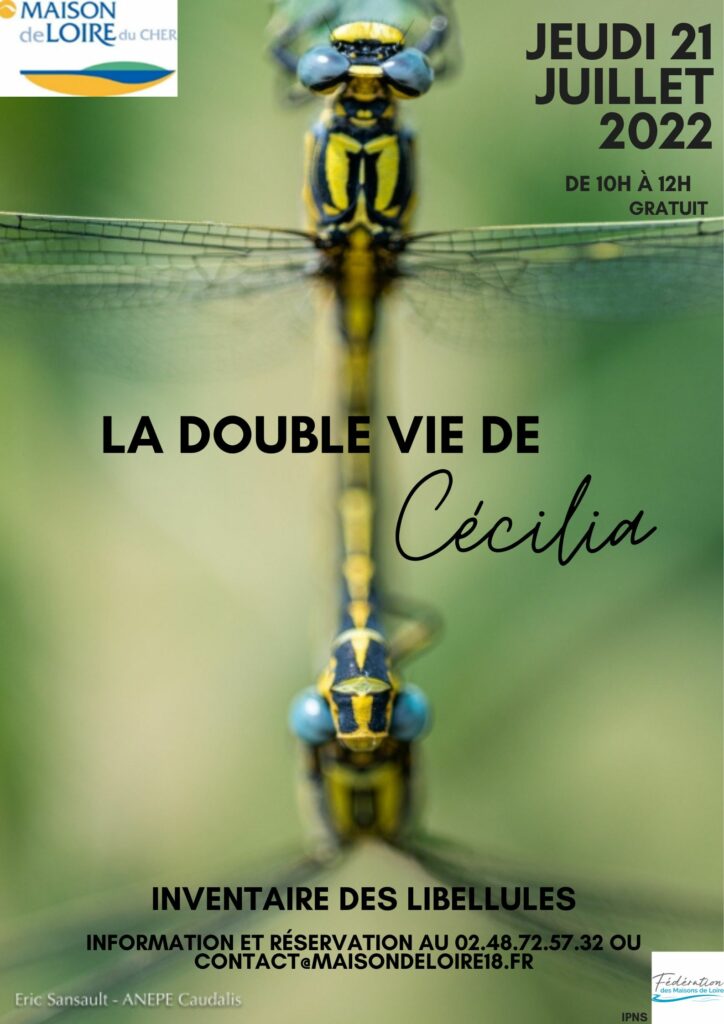 « La double vie de Cécilia »