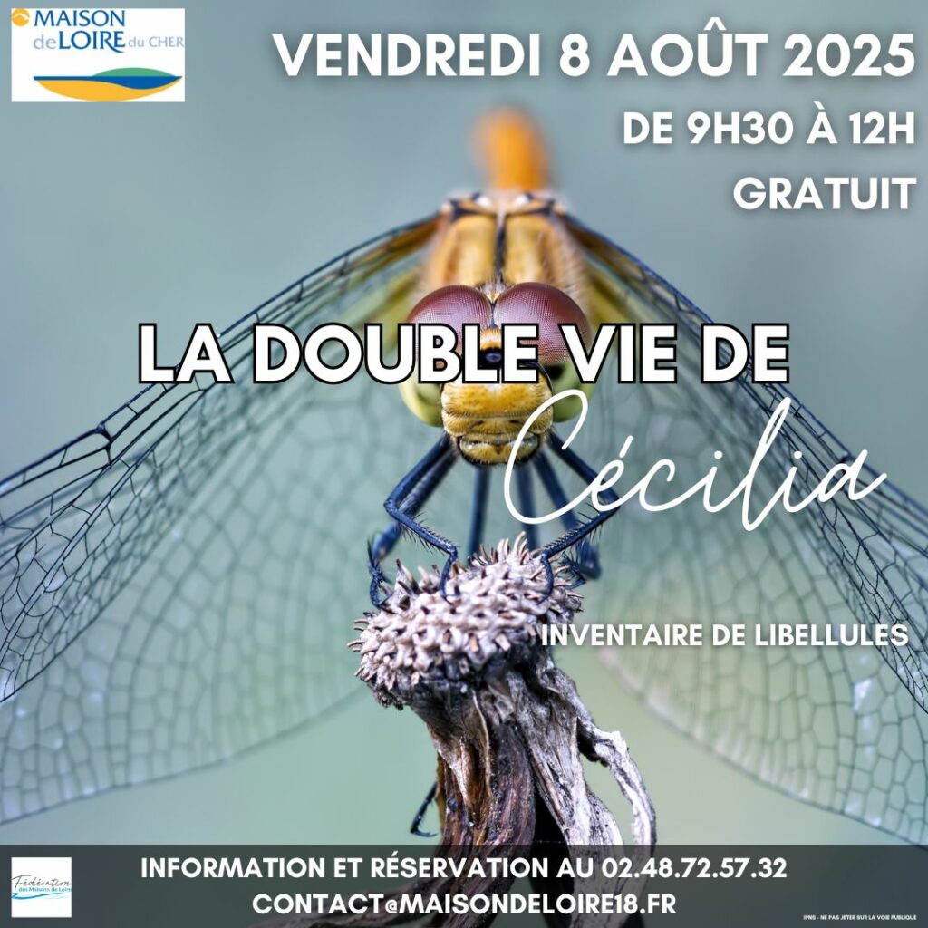 « La double vie de Cecilia » Inventaire participatif du mois d’août