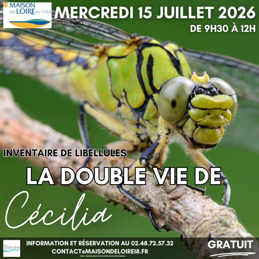 Inventaire « La double vie de Cécilia »
