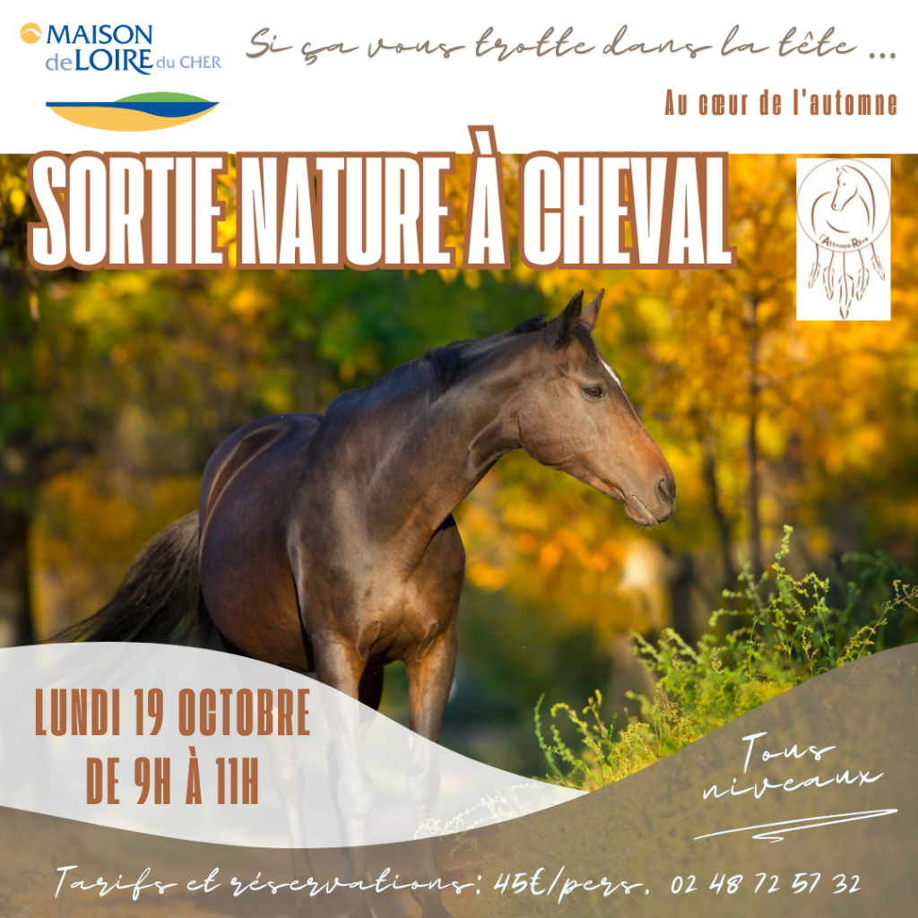 SORTIE À CHEVAL AU COEUR DE L&rsquo;AUTOMNE