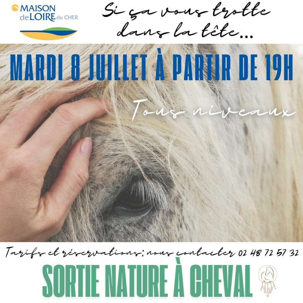 ANIMATION NATURE A CHEVAL