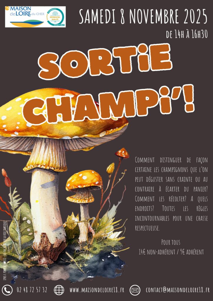 SORTIE CHAMPIGNONS