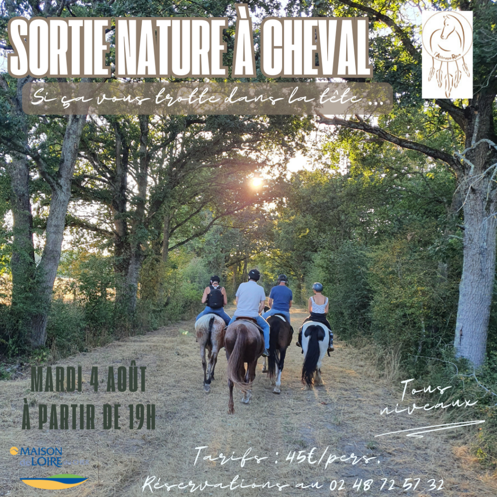 Sortie équestre « Si ça vous trotte dans la tête… »