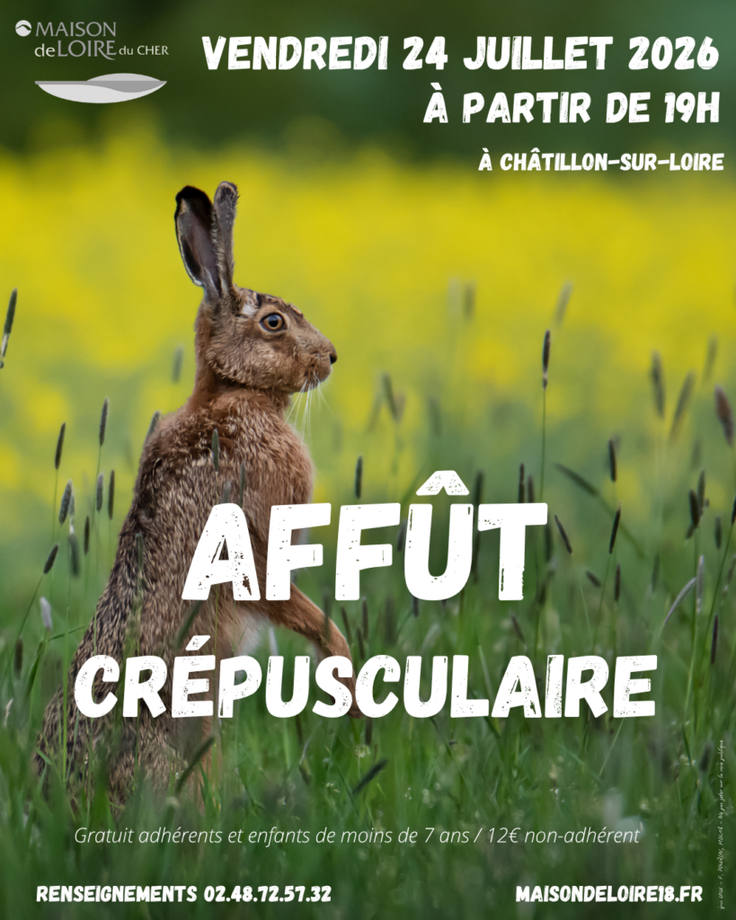Sortie « Affût crépusculaire »