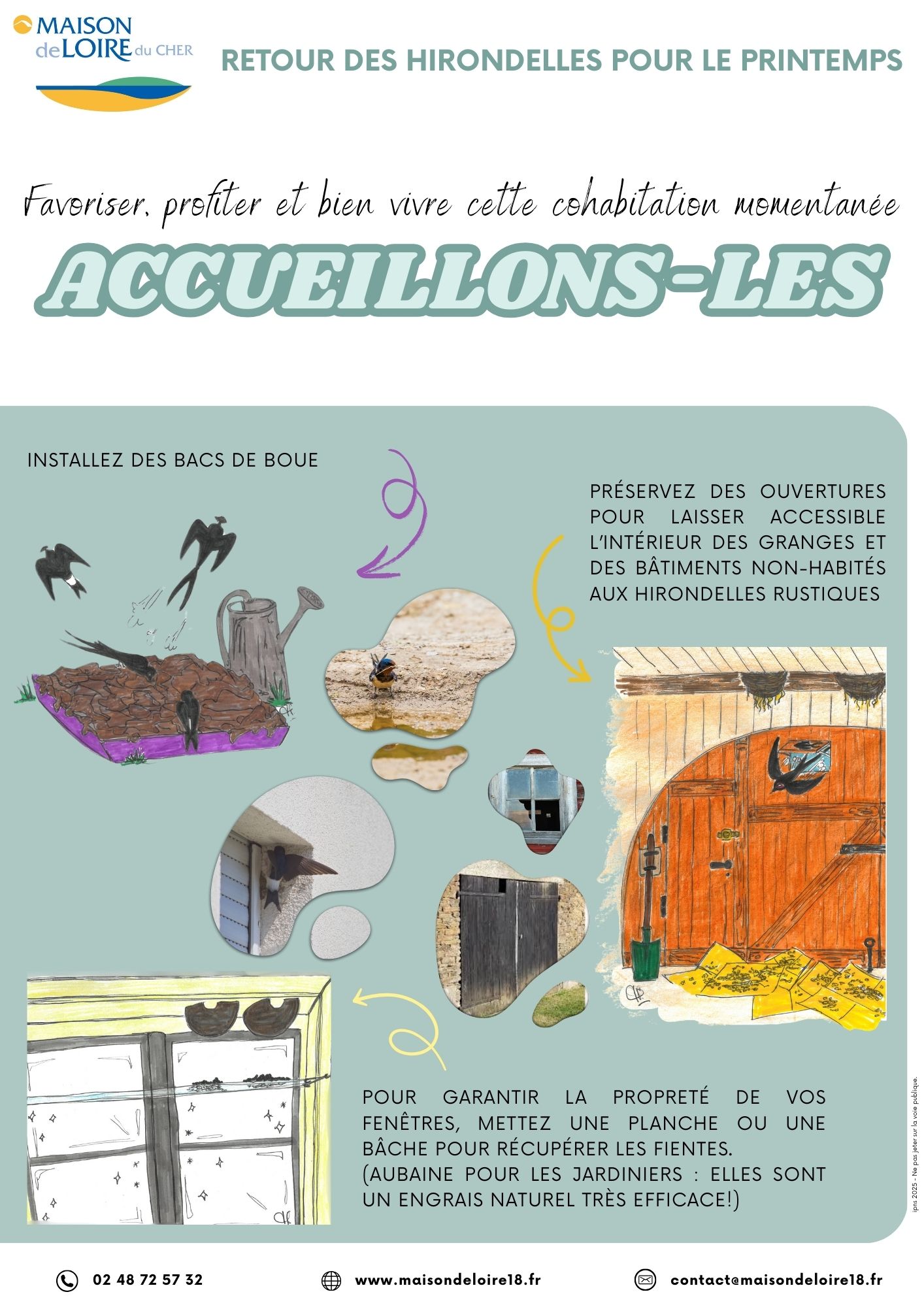 You are currently viewing COHABITATION DOUCE Réjouissons-nous: Les hirondelles sont de retour!