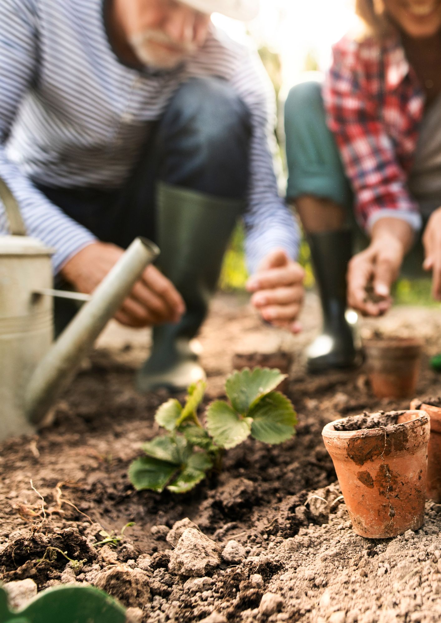 You are currently viewing JARDIN PARTICIPATIF MAISON DE LOIRE DU CHER