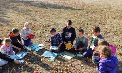 Club « Connaitre et protéger la Nature » à partir de 5 ans