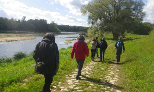 Ateliers, conférences, événements