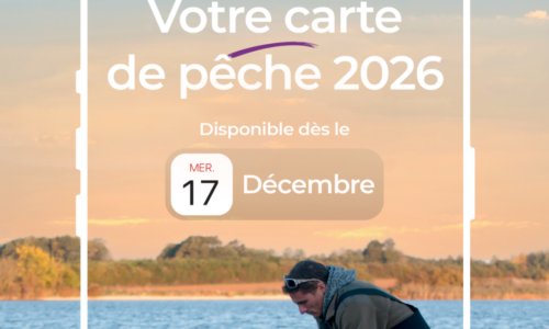 Les cartes de pêche 2026 sont disponibles!