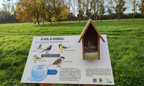 07 – À vol d’oiseau